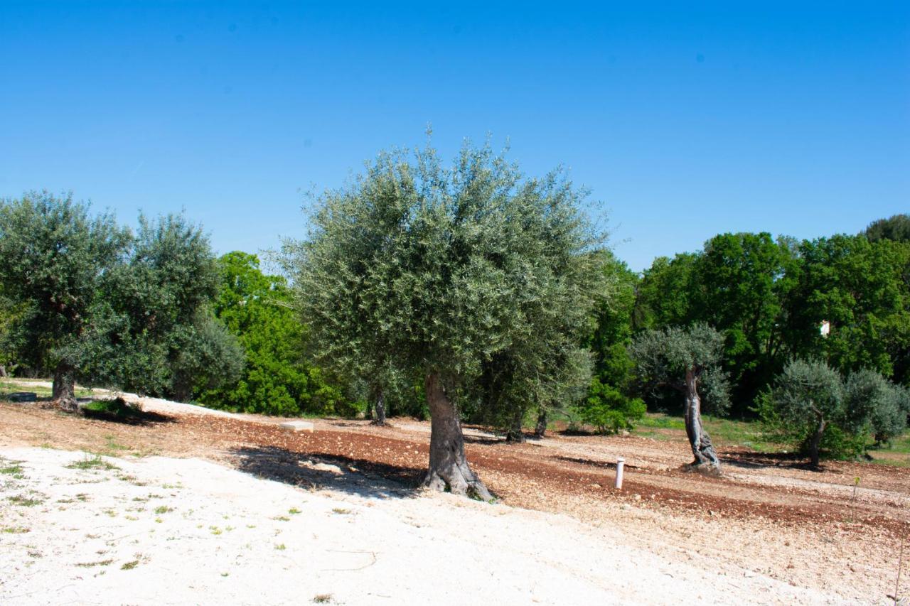 Casale Dello Zio, Private Pool By Il Pumo Di Puglia Villa กัสเตลลานา กรอตเต ภายนอก รูปภาพ